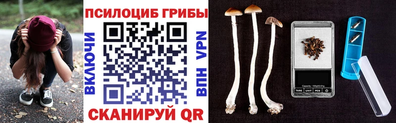 наркошоп  Старая Русса  MEGA вход  Галлюциногенные грибы GOLDEN TEACHER 